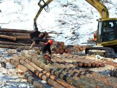 造材作業 造材作業